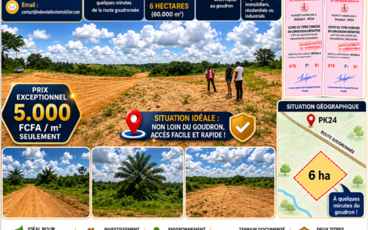 TERRAIN DE 6 HECTARES TITRÉ À VENDRE À DOUALA – PK24 | EXPANSION MAJEURE