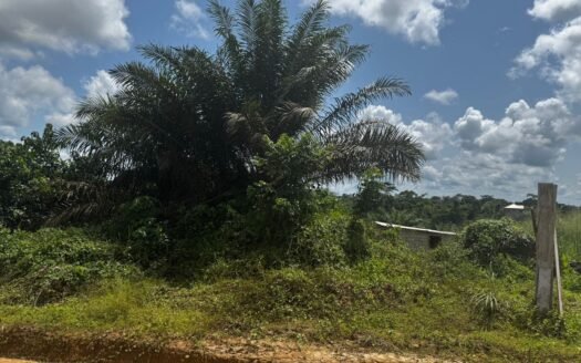 TERRAIN DE 18 HECTARES TITRÉ À VENDRE À DOUALA – PK24 (AXE DOUALA-YAOUNDÉ)