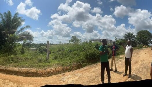 TERRAIN DE 18 HECTARES TITRÉ À VENDRE À DOUALA – PK24 (AXE DOUALA-YAOUNDÉ)