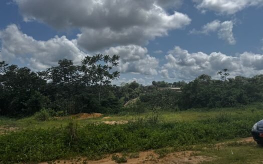 TERRAIN DE 6 HECTARES TITRÉ À VENDRE À DOUALA – PK24 | EXPANSION MAJEURE