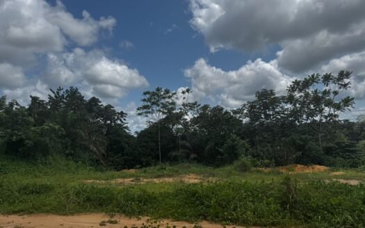 TERRAIN DE 6 HECTARES TITRÉ À VENDRE À DOUALA – PK24 | EXPANSION MAJEURE
