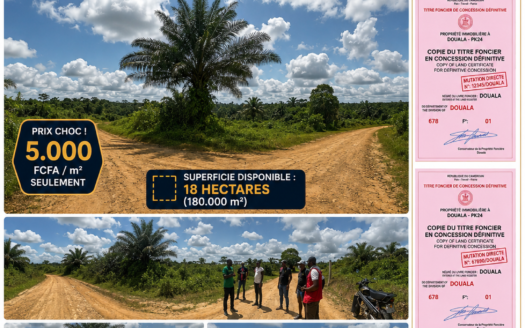 TERRAIN DE 18 HECTARES TITRÉ À VENDRE À DOUALA – PK24 (AXE DOUALA-YAOUNDÉ)