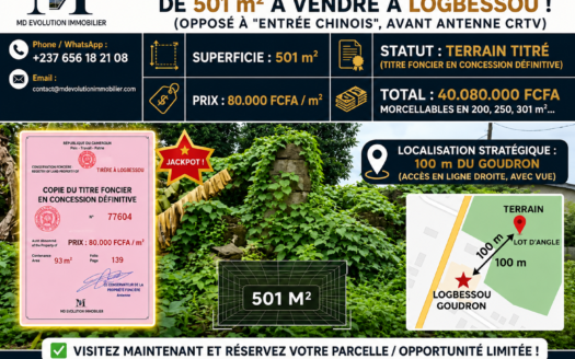Terrain Titré d’Angle de 501 m² à Douala Logbessou (Opposé Entrée Chinois)