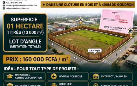 TERRAIN COMMERCIAL MAJEUR À VENDRE : 1 HECTARE TITRÉ À NDOGBONG SOCAVER, DOUALA