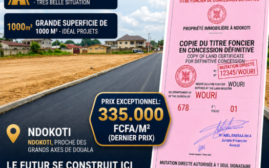 TERRAIN TITRÉ DE 1 000 m² À VENDRE À DOUALA – NDOKOTI (BORDURE DE GOUDRON) – SÉCURITÉ FONCIÈRE ABSOLUE