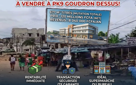 Terrain Commercial Titré de 677 m² à Vendre à PK9 (Bord de Goudron) – Douala