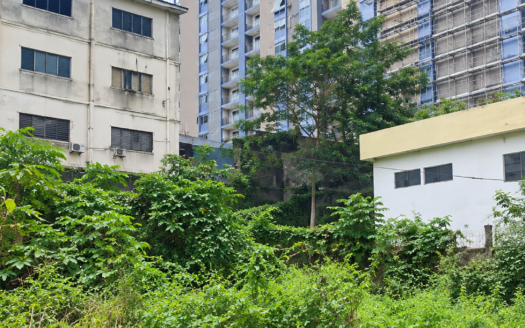 OPPORTUNITÉ D’EXCEPTION : TERRAIN TITRÉ DE 1 101 M² AU CŒUR DE BONANJO