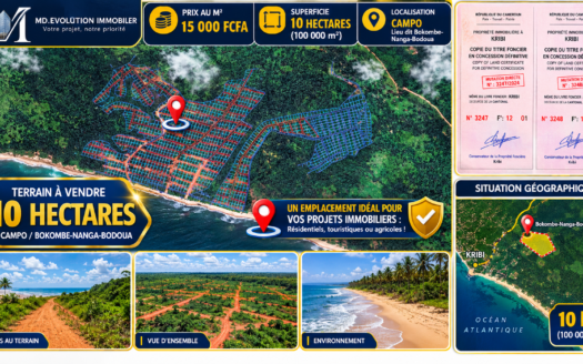 TERRAIN DE PLUS DE 10 HECTARES À VENDRE À CAMPO – BOKOMBE-NANGA-BODOUA