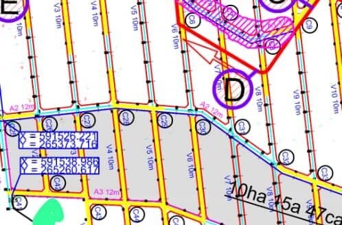 TERRAIN DE PLUS DE 10 HECTARES À VENDRE À CAMPO – BOKOMBE-NANGA-BODOUA