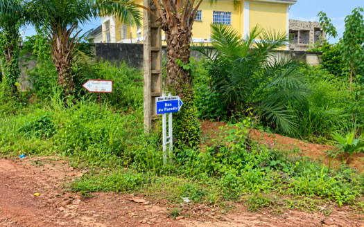 YASSA CITÉ CHIRAC : LOT D’ANGLE DE 397 M² AU CŒUR D’UN SECTEUR RÉSIDENTIEL D’EXCEPTION