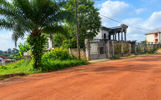YASSA CITÉ CHIRAC : LOT D’ANGLE DE 397 M² AU CŒUR D’UN SECTEUR RÉSIDENTIEL D’EXCEPTION