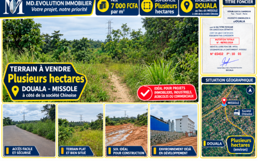 TERRAIN TITRÉ DE PLUSIEURS HECTARES À DOUALA-MISSOLE : UNE VASTE RÉSERVE FONCIÈRE À 7000 FCFA/M²